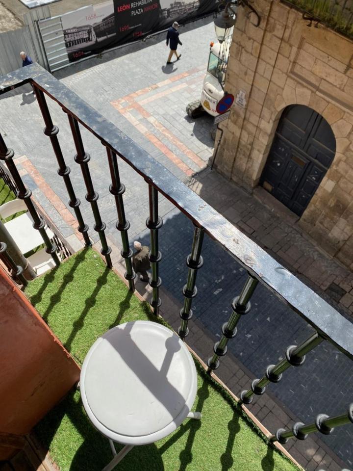Viva León Leão Exterior foto