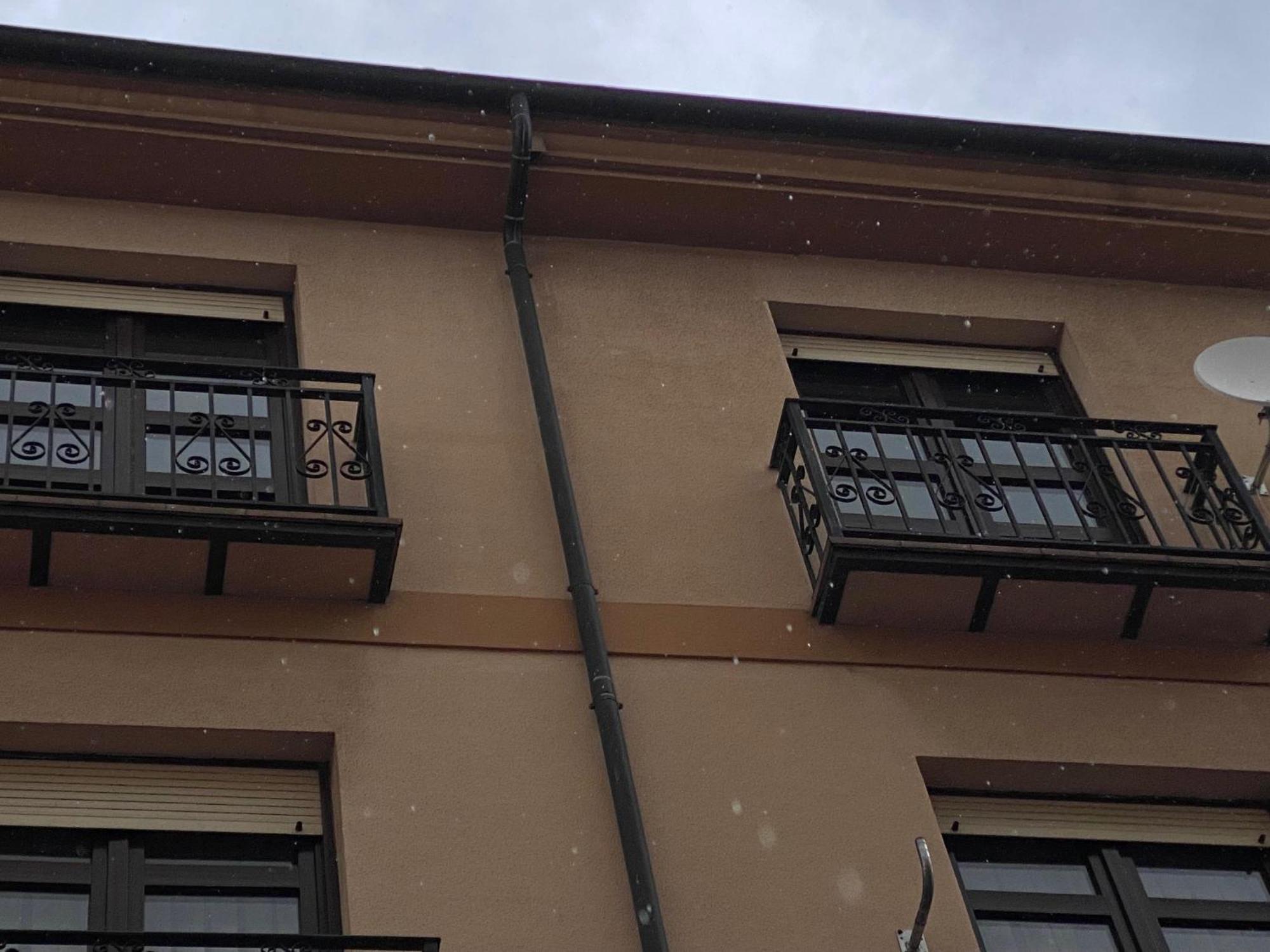 Viva León Leão Exterior foto